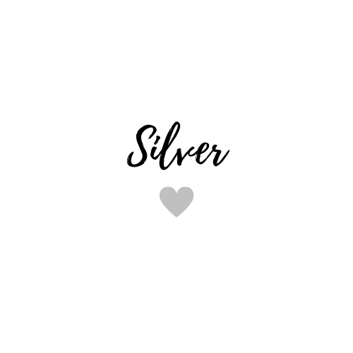 Silver Paparazzi Jewelry & Accessories
