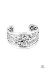 five-dollar-jewelry-purely-prairie-silver-bracelet-paparazzi-accessories