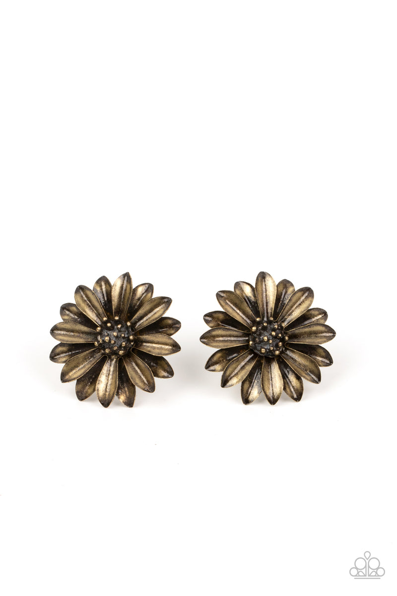 five-dollar-jewelry-daisy-dilemma-brass-post earrings-paparazzi-accessories